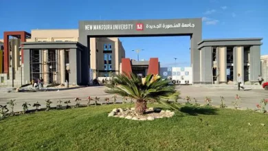 جامعة المنصورة الجديدة