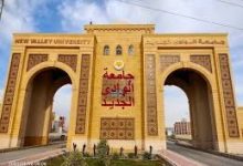 جامعة الوادى الجديد